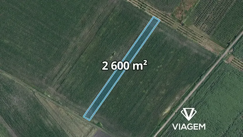 Prodej pole, Velké Bílovice, 2600 m2