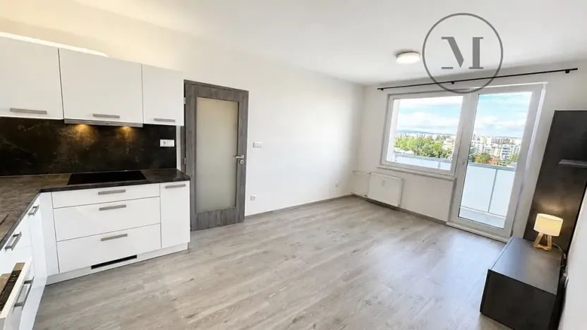 Pronájem bytu 2+kk, České Budějovice, Dlouhá, 43 m2
