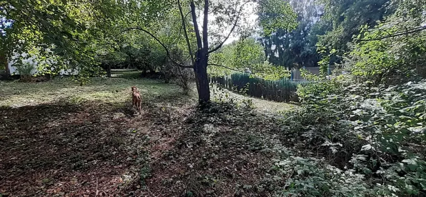 Prodej pozemku pro bydlení, Senohraby, U tunelu, 1644 m2