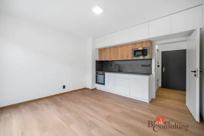 Pronájem bytu 1+kk, Brno - Zábrdovice, Bratislavská, 25 m2
