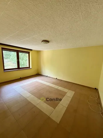 Prodej rodinného domu, Provodín, 297 m2