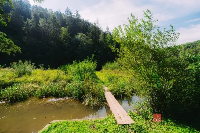 Prodej chaty, Plasy, 56 m2