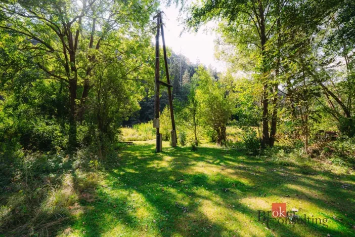 Prodej chaty, Plasy, 56 m2