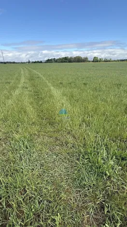 Prodej pole, Františkovy Lázně - Horní Lomany, Americká, 584 m2