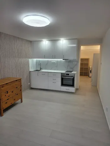 Pronájem bytu 1+kk, Praha, Nad olšinami, 27 m2