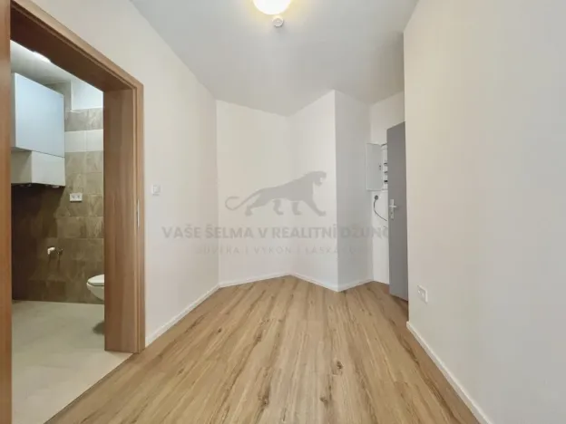 Pronájem bytu 2+kk, Praha - Žižkov, Zelenky-Hajského, 44 m2