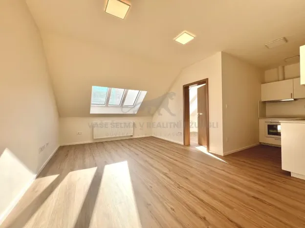 Pronájem bytu 2+kk, Praha - Žižkov, Zelenky-Hajského, 44 m2