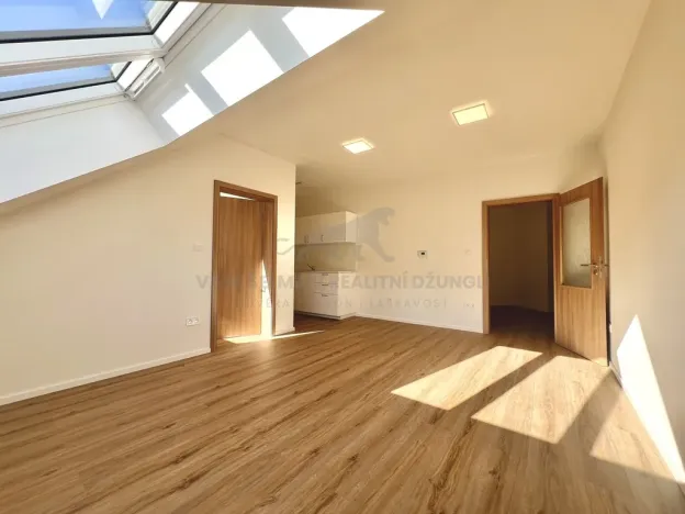 Pronájem bytu 2+kk, Praha - Žižkov, Zelenky-Hajského, 44 m2