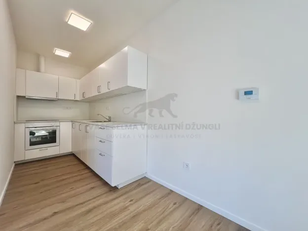 Pronájem bytu 2+kk, Praha - Žižkov, Zelenky-Hajského, 44 m2