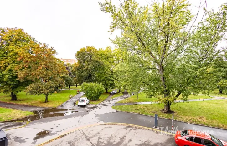 Pronájem bytu 2+kk, Praha - Vysočany, Prouzova, 52 m2