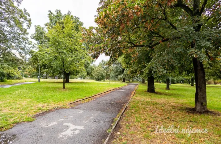Pronájem bytu 2+kk, Praha - Vysočany, Prouzova, 52 m2