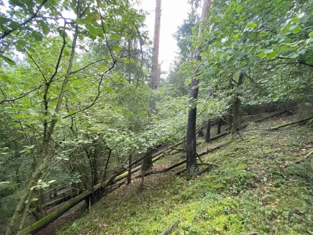 Prodej pozemku, Křečovice - Nahoruby, 3382 m2