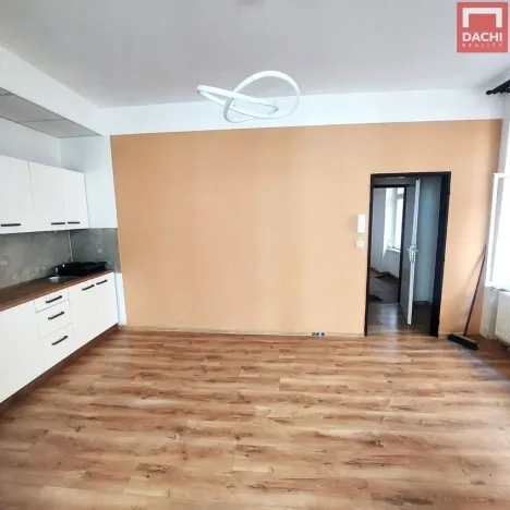 Pronájem bytu 1+1, Olomouc, Kačení, 55 m2