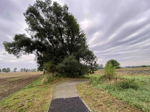 Prodej pozemku, Holasovice, 173 m2