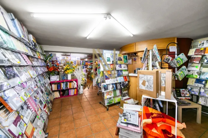 Pronájem obchodního prostoru, Domažlice - Dolejší Předměstí, Husova třída, 140 m2