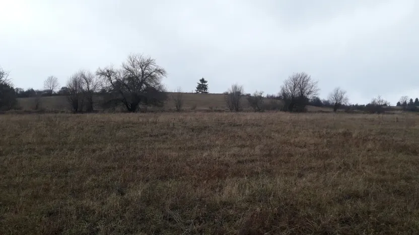 Prodej pole, Teplice nad Metují - Dolní Teplice, 25028 m2
