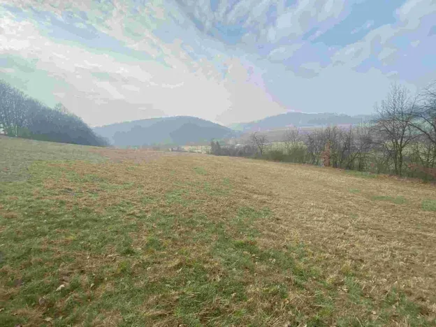 Prodej pozemku, Linhartice, 9269 m2