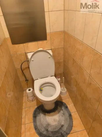 Prodej bytu 2+1, Teplice - Trnovany, Jana Koziny, 56 m2
