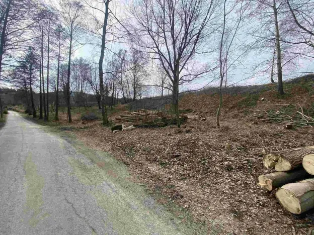Prodej pozemku, Horní Stropnice - Šejby, 1757 m2