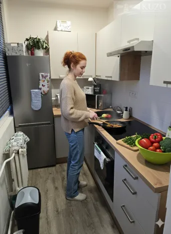 Pronájem bytu 1+kk, Příbram, Nádražní, 28 m2
