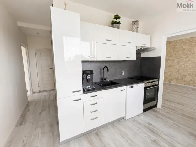 Pronájem bytu 3+1, Teplice - Trnovany, Gagarinova, 70 m2