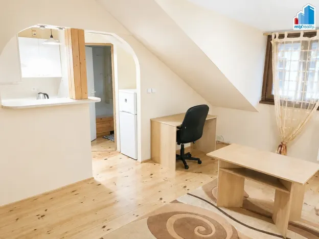 Pronájem bytu 2+kk, Plzeň - Jižní Předměstí, Nerudova, 40 m2