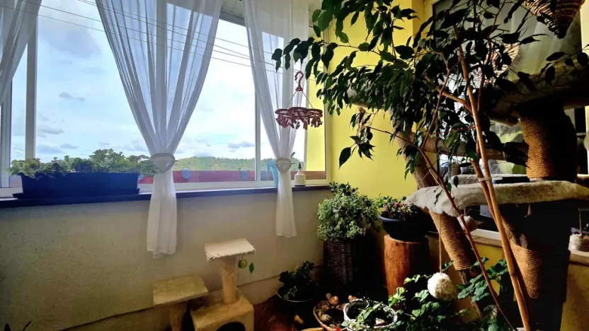 Prodej bytu 3+kk, Zruč nad Sázavou, náměstí Míru, 80 m2