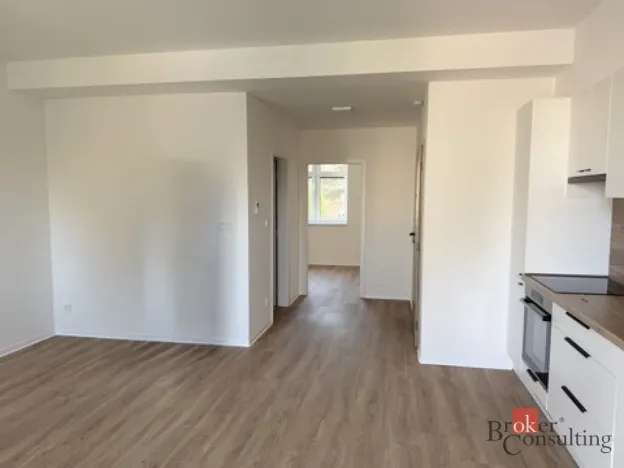 Pronájem bytu 2+kk, Opava - Předměstí, Mánesova, 41 m2