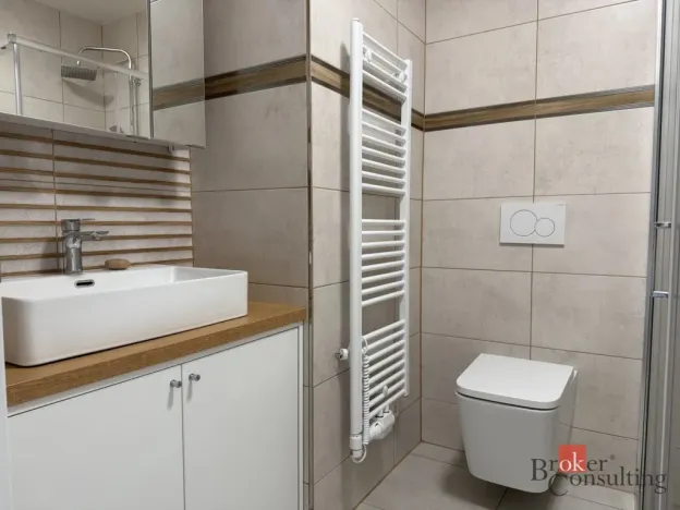 Pronájem bytu 2+kk, Opava - Předměstí, Mánesova, 41 m2