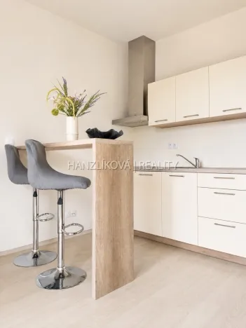 Prodej bytu 2+kk, České Budějovice - České Budějovice 2, U Boru, 40 m2