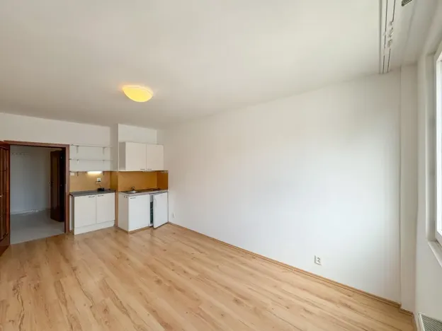 Pronájem bytu 1+kk, Praha - Vinohrady, Římská, 25 m2