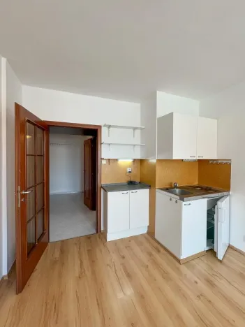 Pronájem bytu 1+kk, Praha - Vinohrady, Římská, 25 m2