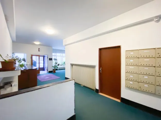 Pronájem bytu 1+kk, Praha - Vinohrady, Římská, 25 m2