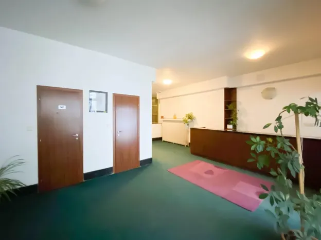 Pronájem bytu 1+kk, Praha - Vinohrady, Římská, 25 m2