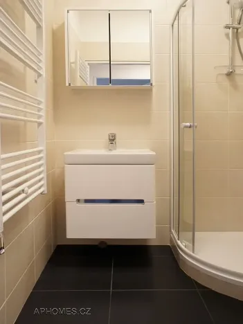 Pronájem bytu 1+1, Praha - Žižkov, Křišťanova, 50 m2