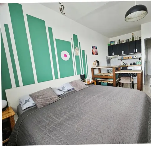 Pronájem bytu 1+kk, Praha - Braník, Vavřenova, 24 m2