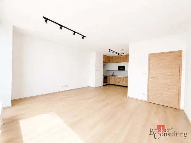 Pronájem bytu 2+kk, Plzeň - Jižní Předměstí, Železná, 79 m2