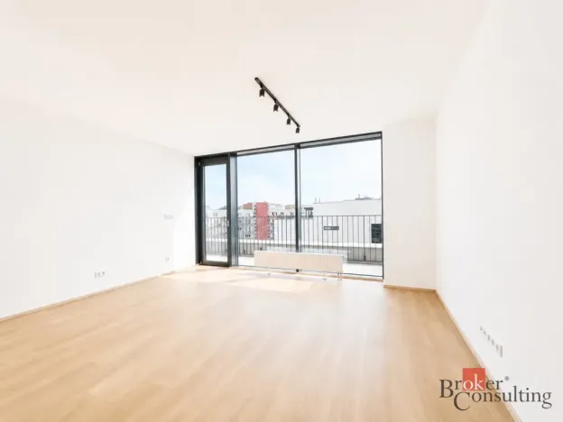Pronájem bytu 2+kk, Plzeň - Jižní Předměstí, Železná, 79 m2