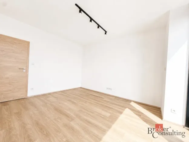 Pronájem bytu 2+kk, Plzeň - Jižní Předměstí, Železná, 79 m2