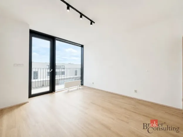 Pronájem bytu 2+kk, Plzeň - Jižní Předměstí, Železná, 79 m2