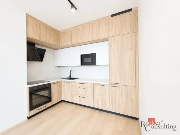 Pronájem bytu 2+kk, Plzeň - Jižní Předměstí, Železná, 79 m2