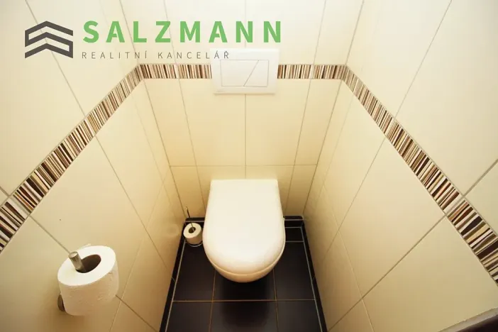 Pronájem bytu 3+1, Plzeň, Pod Švabinami, 74 m2