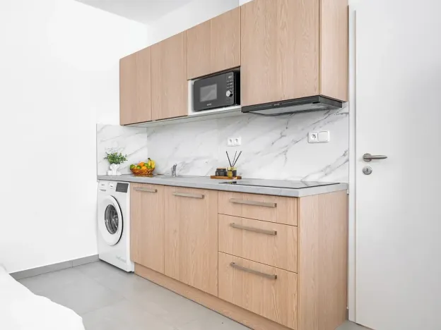 Pronájem bytu 1+kk, Brno, Minská, 21 m2
