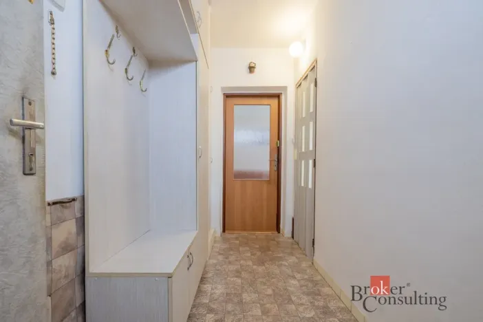 Prodej bytu 2+1, Plzeň - Lobzy, Partyzánská, 54 m2