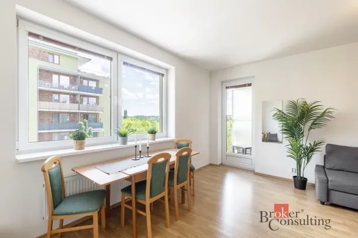 Prodej bytu 1+kk, Brno - Starý Lískovec, U Leskavy, 48 m2