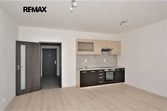 Pronájem bytu 1+kk, Plzeň, Studentská, 44 m2