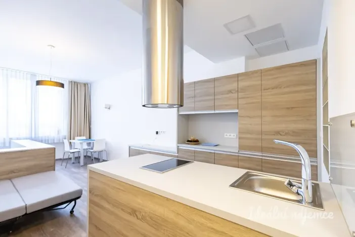 Pronájem bytu 1+kk, Praha - Nové Město, U půjčovny, 38 m2