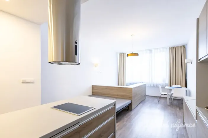 Pronájem bytu 1+kk, Praha - Nové Město, U půjčovny, 38 m2