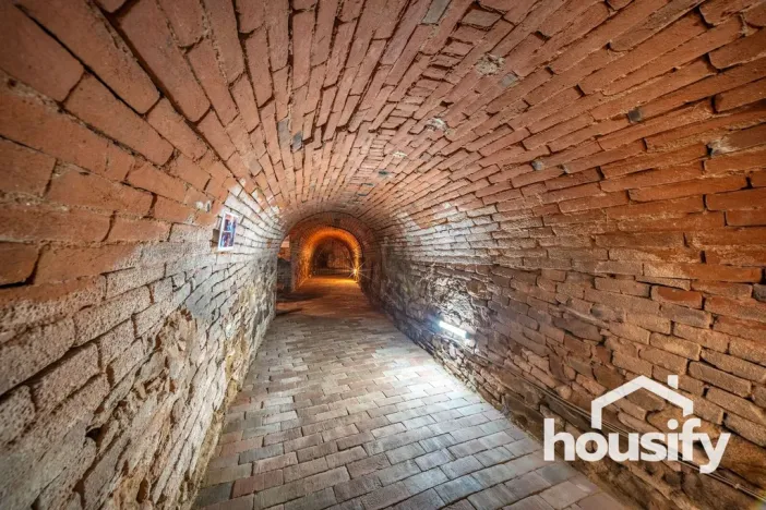 Pronájem vinného sklepa, Hodonice, Janská, 50 m2