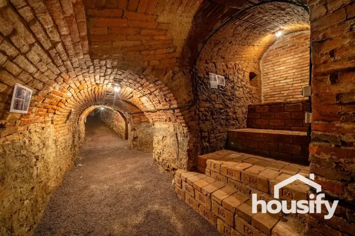Pronájem vinného sklepa, Hodonice, Janská, 50 m2